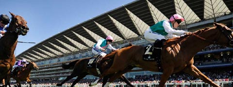 Wolverhampton Royal Ascot Limo Hire